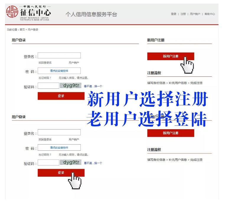 1581063886692057202.jpg?noCache=k6bx0ga7
